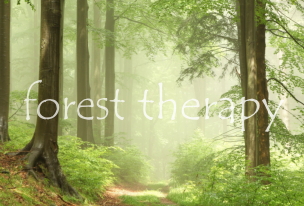 森林療法について